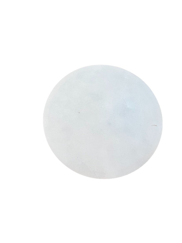 Team Sesh Bones Sticker Merch 2016