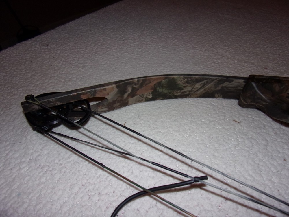 Martin Jaguar Compound Bow