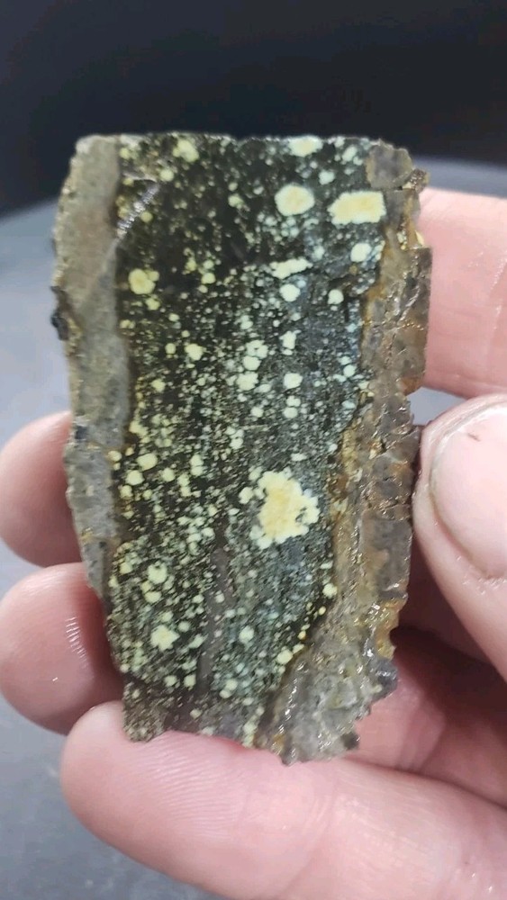 Nevada Saguaro Variscite Slab