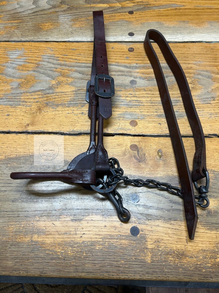 LEATHER COW HALTER WITH CHAIN LEAD(SIZE MEDIUM)