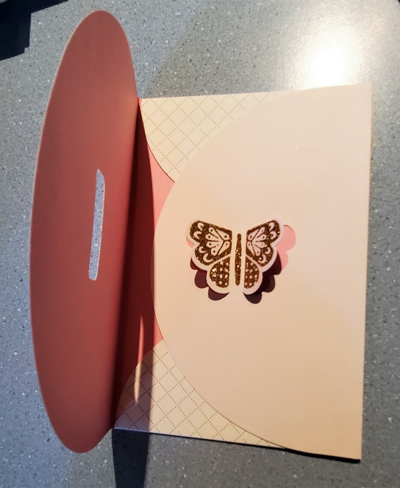 Fancy Flower & Dot Grid Tri Fold Envelopes w/ 3D Butterfly Closure - Pkg. of 4