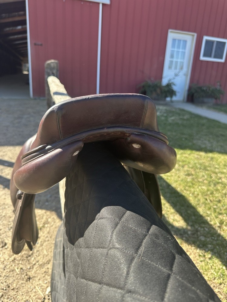 CWD Saddle SE 19 15.5 1L