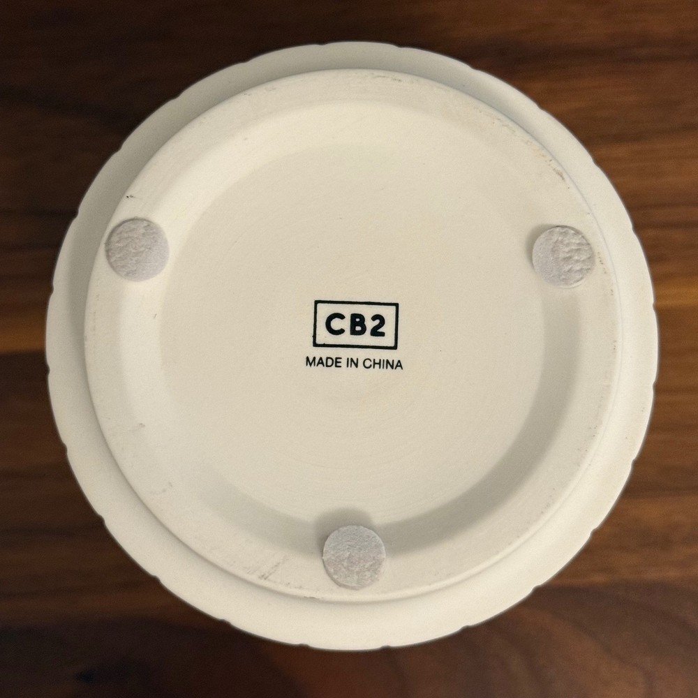 CB2 White Textured Ceramic Planter Pot – Modern Minimalist 5"