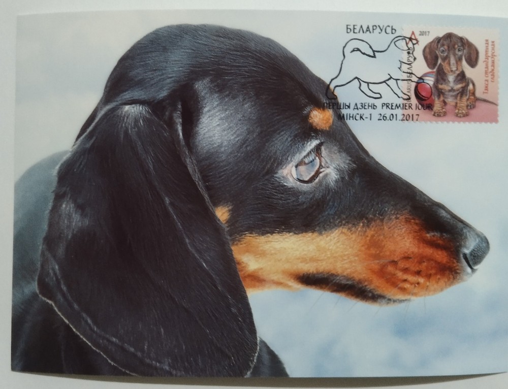 Belarus Dog Maxi Card 2017-ZZIAA