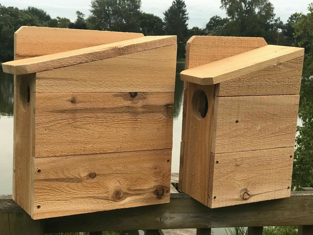 Squirrel House Nesting Box 3/4" Solid Cedar Owl 3 Different Sizes TOP SELLER!!!!