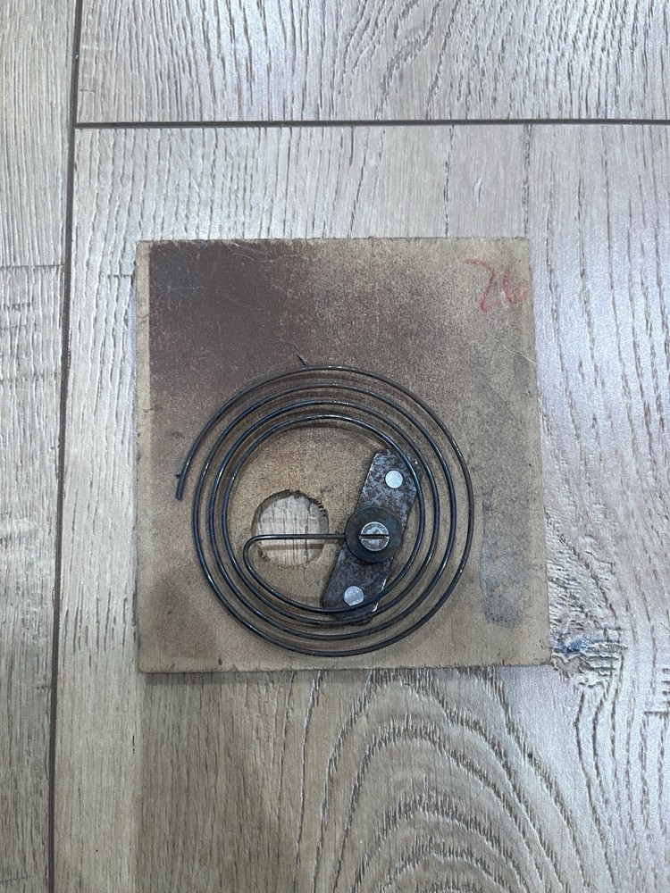 Cuckoo Clock Back