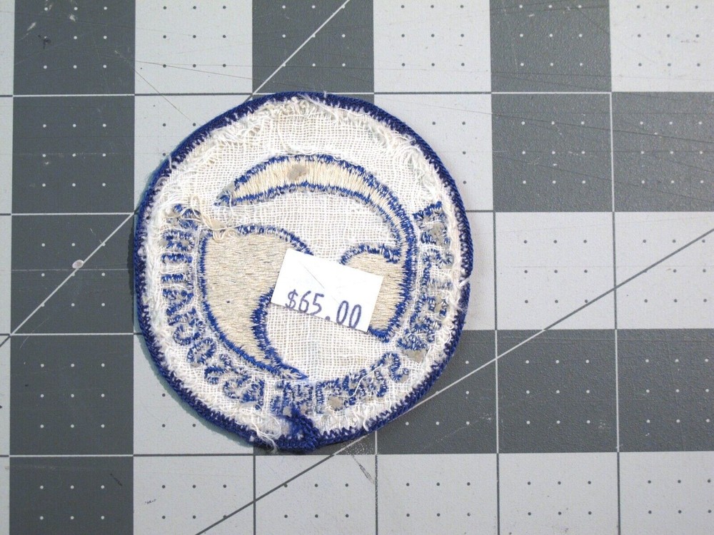 vtg 1960s Surfing ephemera - patch Eastern Surfing Association v2