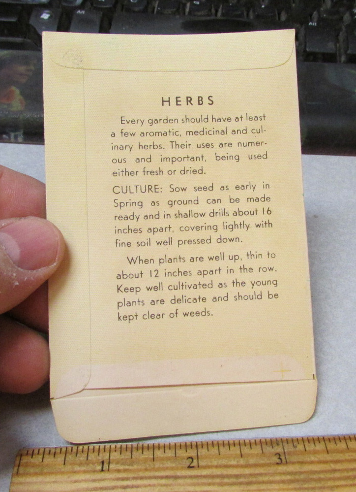 Vintage EMPTY seed pack, Dill, nice graphics, 1940s Lone Star Seed Texas
