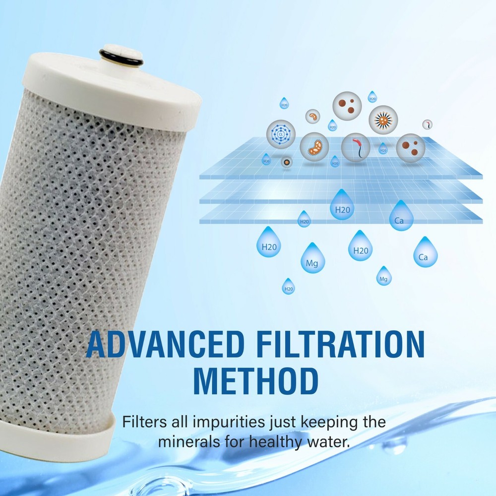 Replacement Frigidaire WFCB WF1CB 469906 RG100 Refrigerator WaterFilter SGF-WFCB