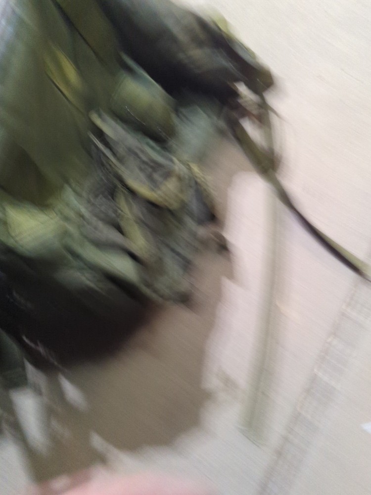 US Army Military Field Pack, Combat Backpack w/ Frame