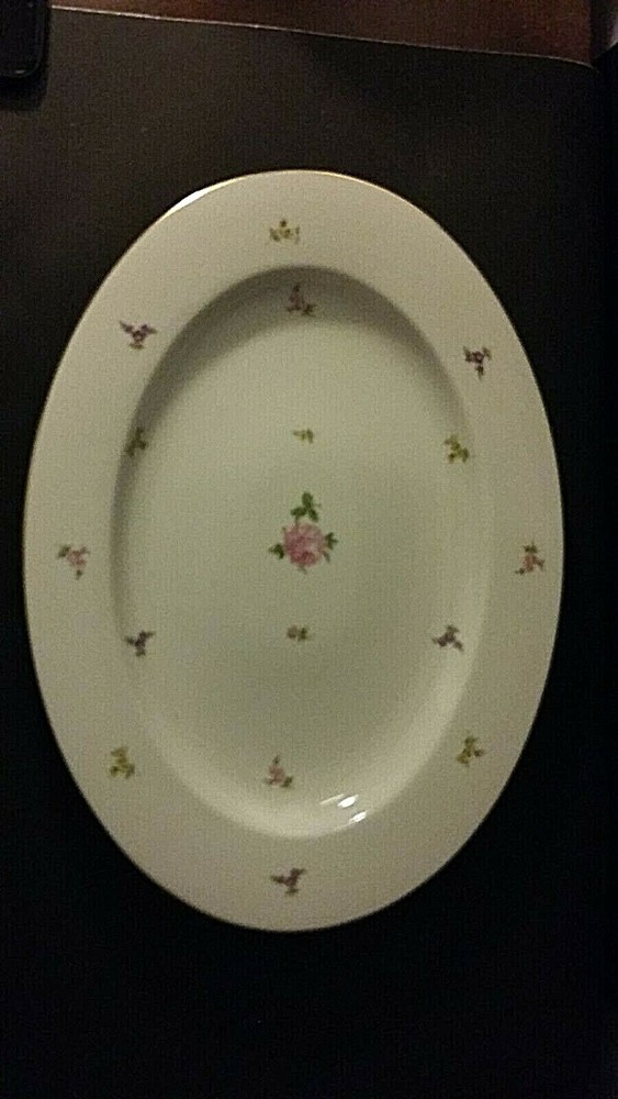 Rosenthal Hillside 14 1/2" Platter