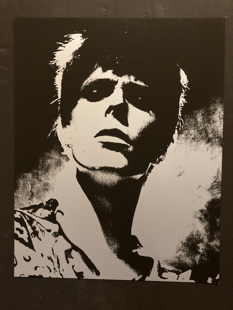 David Bowie poster - Screen printed silver Ziggy Stardust reproduction image