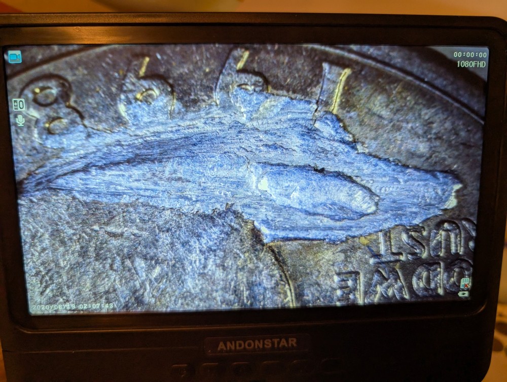 1998 D Quarter Error