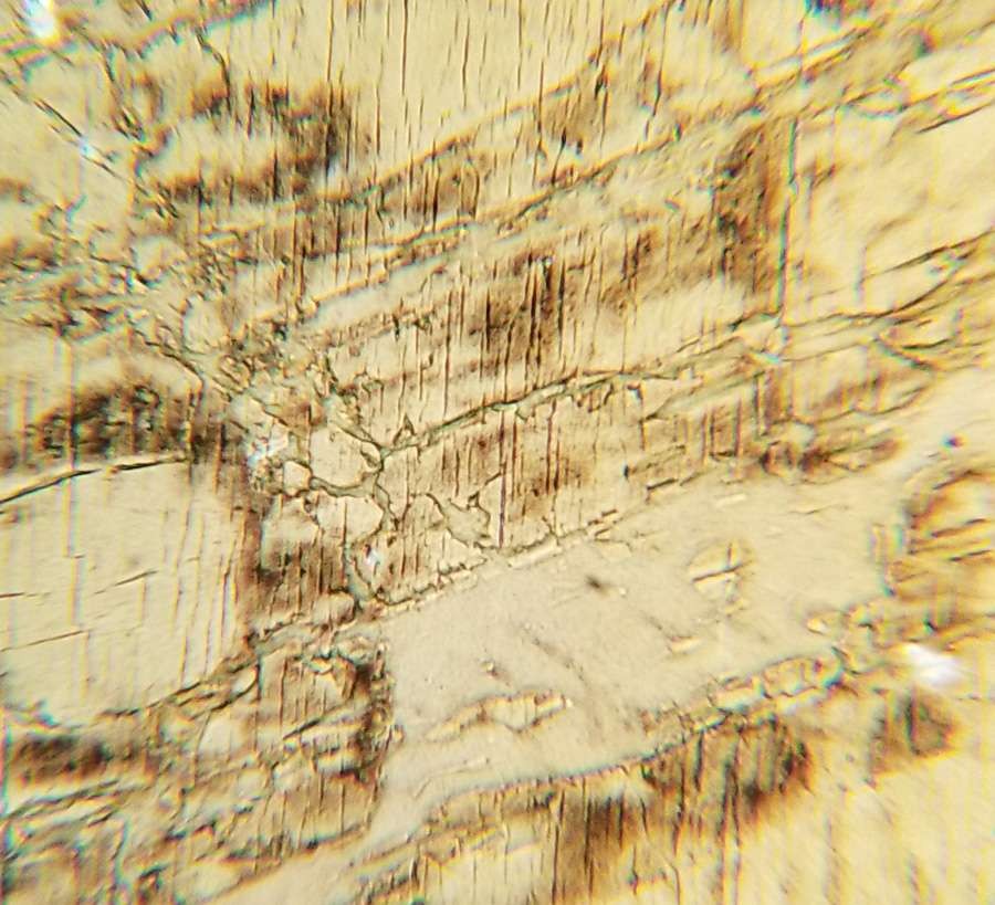 Perthite Petrographic Microscope Slide (C)