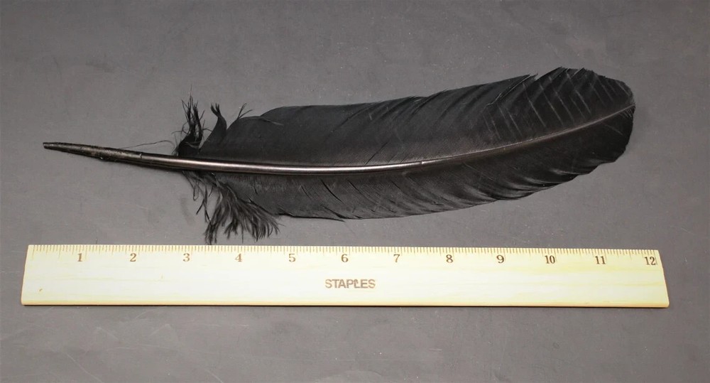 Black Turkey Feather for Smudging, Fanning, etc
