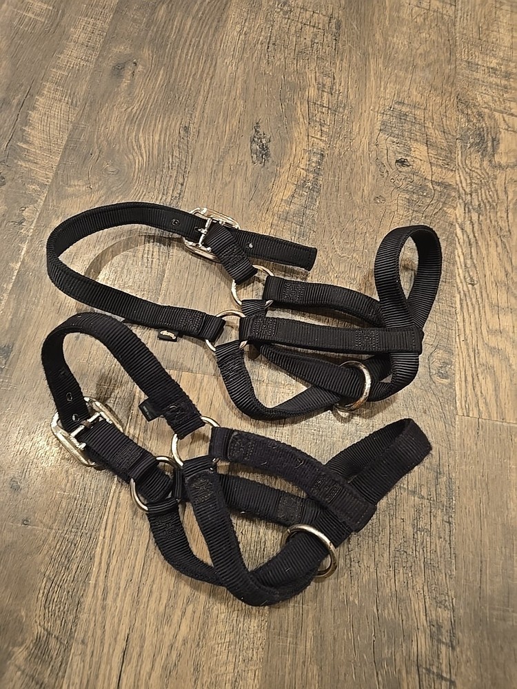 Cow Halters