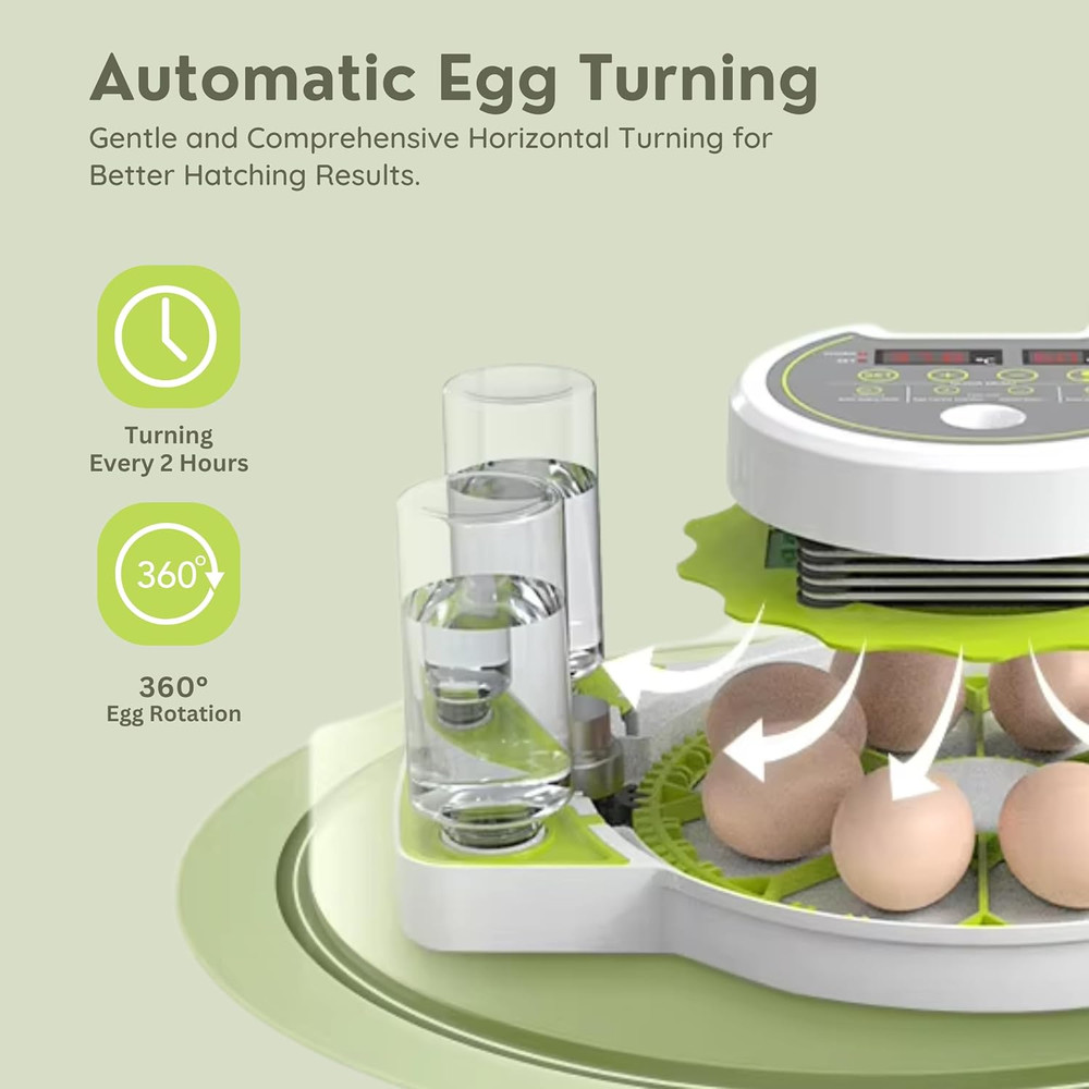 Egg Incubator for Hatching Eggs with Automatic Egg Turning & Humidity Control –