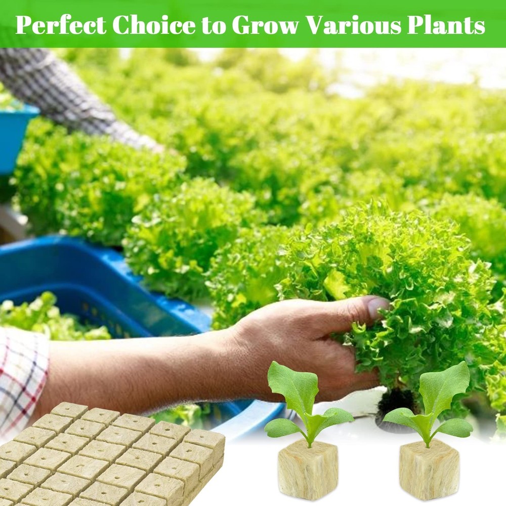 100Plugs Rockwool Seed Starter Plugs 1 Inch Cubes 2 Sheets Hydroponic Tower Gard