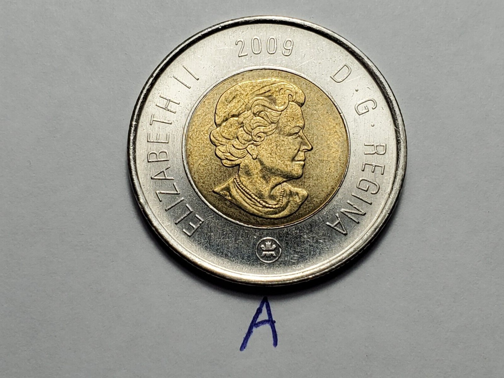 2009 CANADA 2 Dollar Polar Bear Toonie Coin a