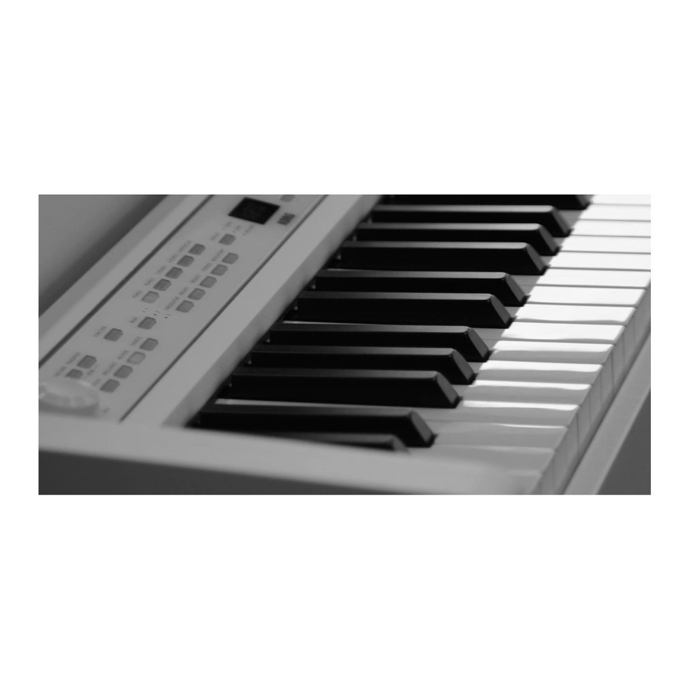 Korg C1 Digital Piano (White)