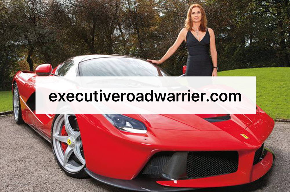 executiveroadwarrior.com Brandable Premium Domain Name for Sale Travel Blogs