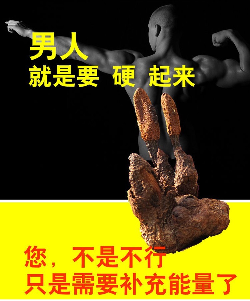 Pure Natural Increased Male Sexual Function 续阳草锁阳回春草250g（2根）【泡酒佳品】