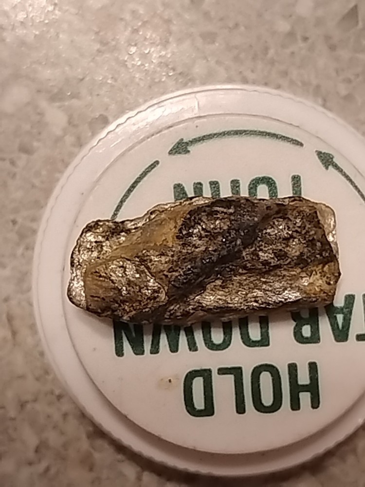 Native Platinum Nugget W/Quartz