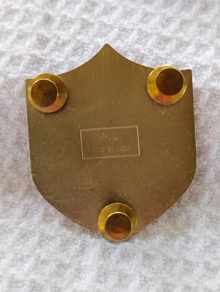 COMBAT SERVICE PIN IRAQ MULTINATIONAL FORCES