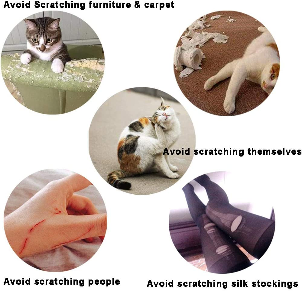 100Pcs Cat Nail Caps/Tips Pet Cat Kitty Soft Claws Covers