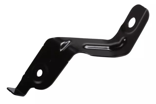Genuine GM Rear Driver Side Seat Back Hook 42541724