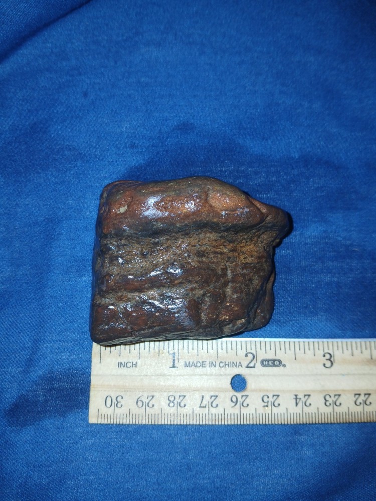 5.4 oz Agatized Petrified Wood