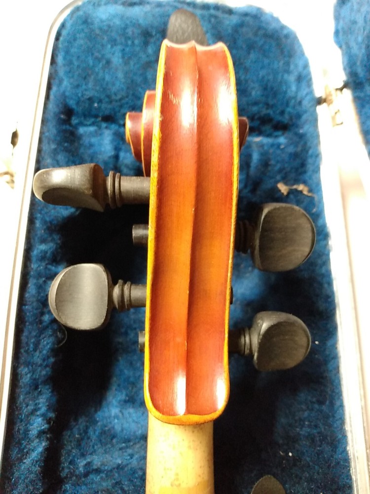 Beautiful Zeswitz Viola