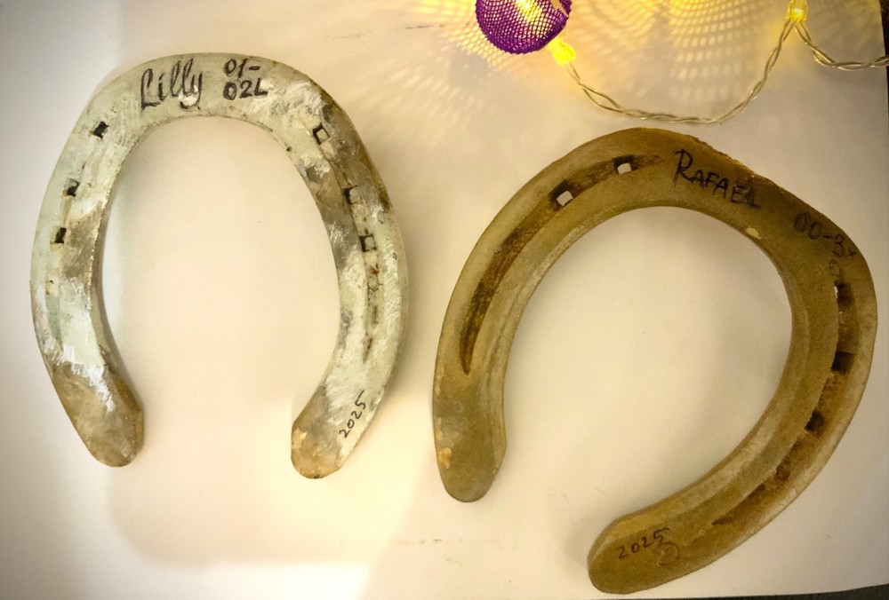 Authentic Lucky Horseshoe