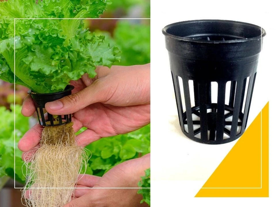 50 pc x NET CUP POTS HYDROPONIC SYSTEM GROW KIT 2 Inch