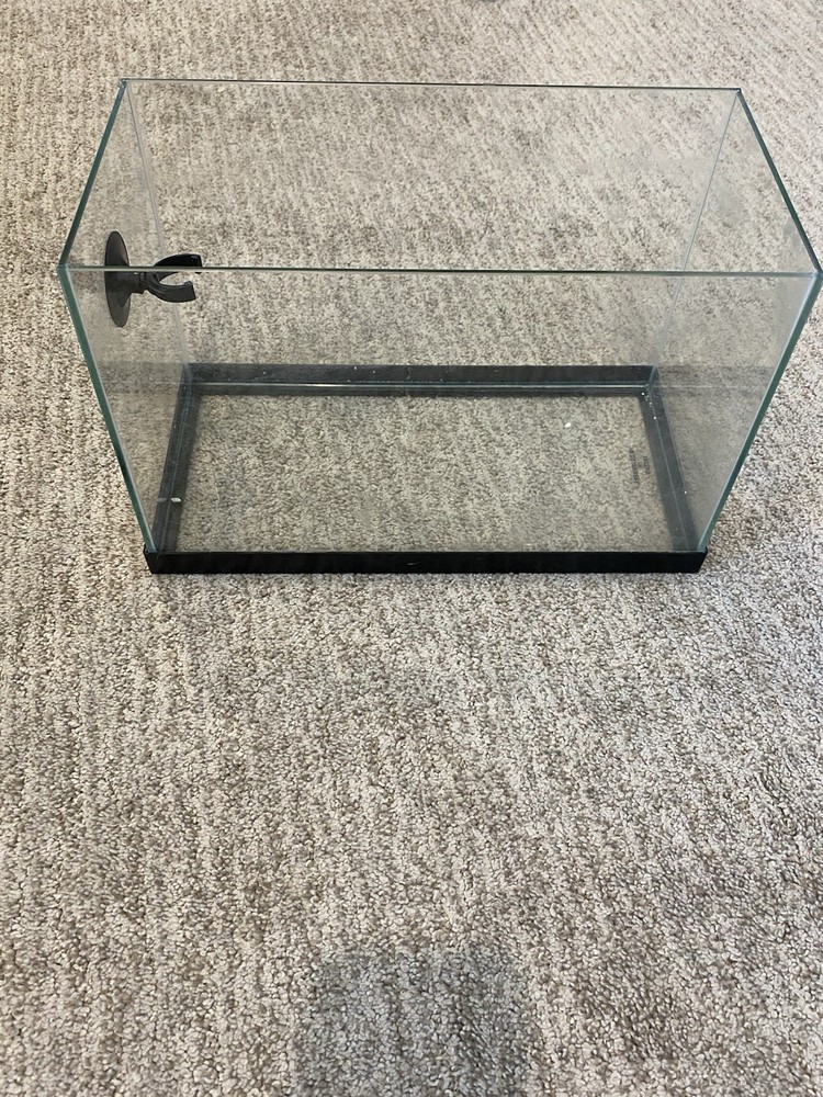 5 Gallon Fish Tank with Accessories