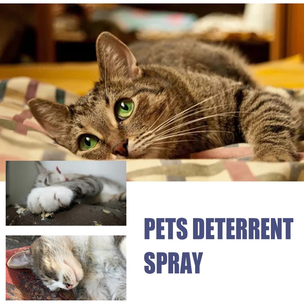 Cat anti scratching spray sofa protector dog training exclusion zone 🐕 🛋️