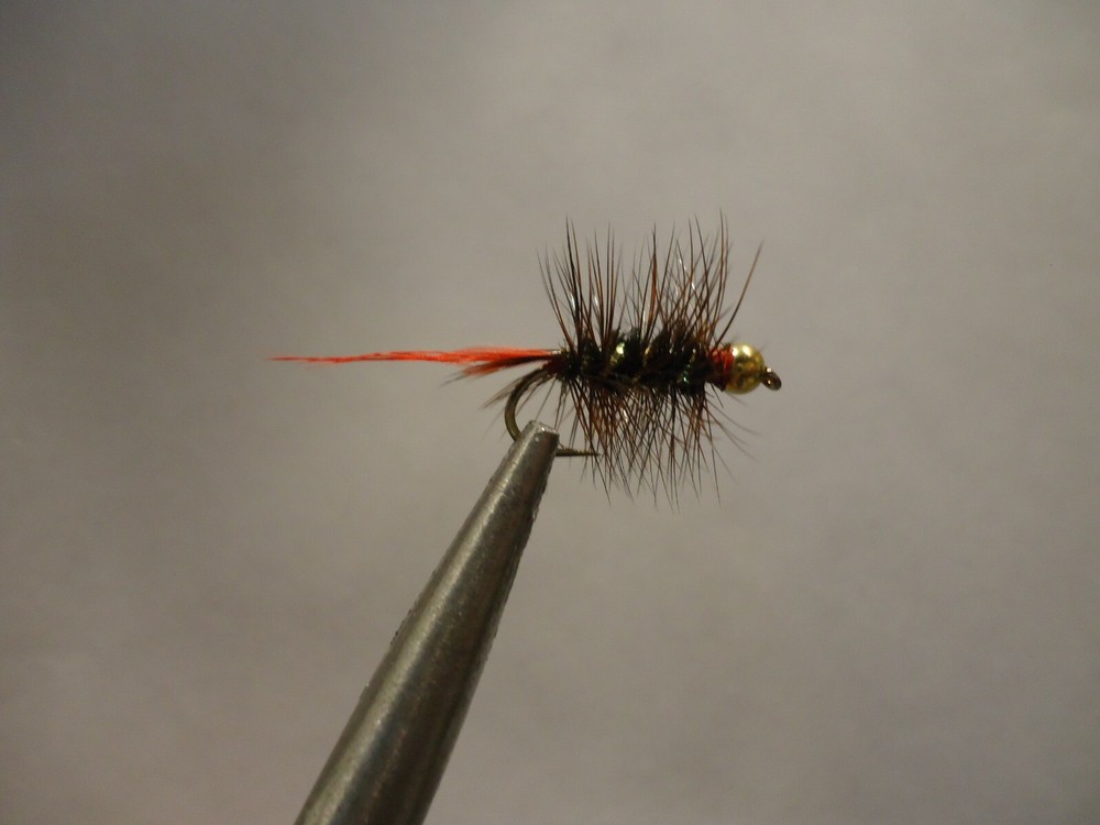 Sunrise Special Size 14