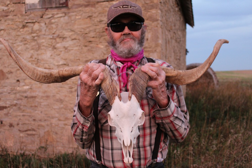 Goat Head Skull Horns