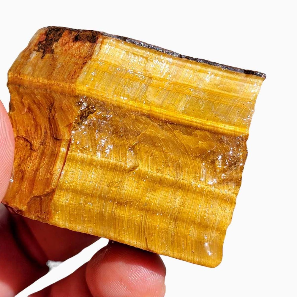 Random Pull Golden Tiger's Eye Rough! Chatoyant Display!