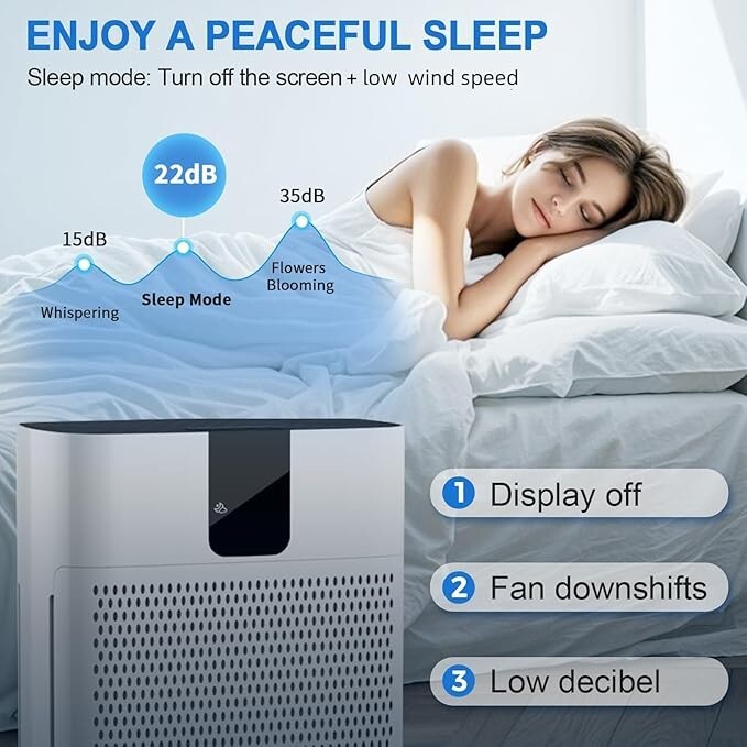Powerful Rapid Air Purifier for Home