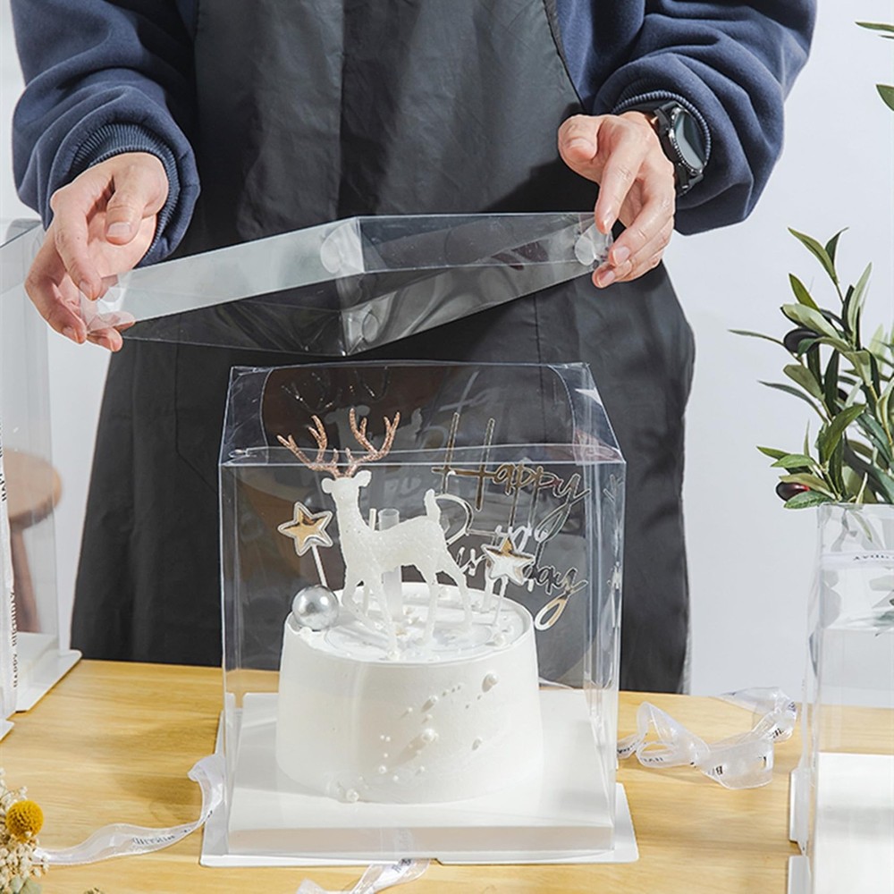 NROZIET 6 Pack Clear Cake Box, 2-Layer Transparent Cakes Box with