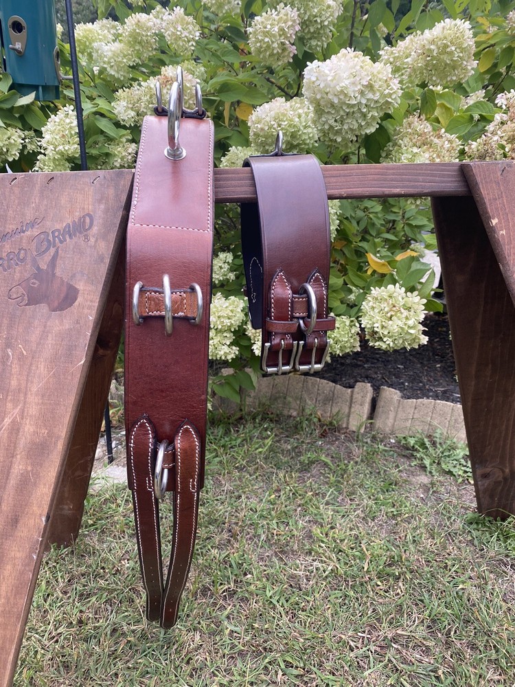 Leaders Training System For Horse, Training Surcingle, Lines And Training Aid