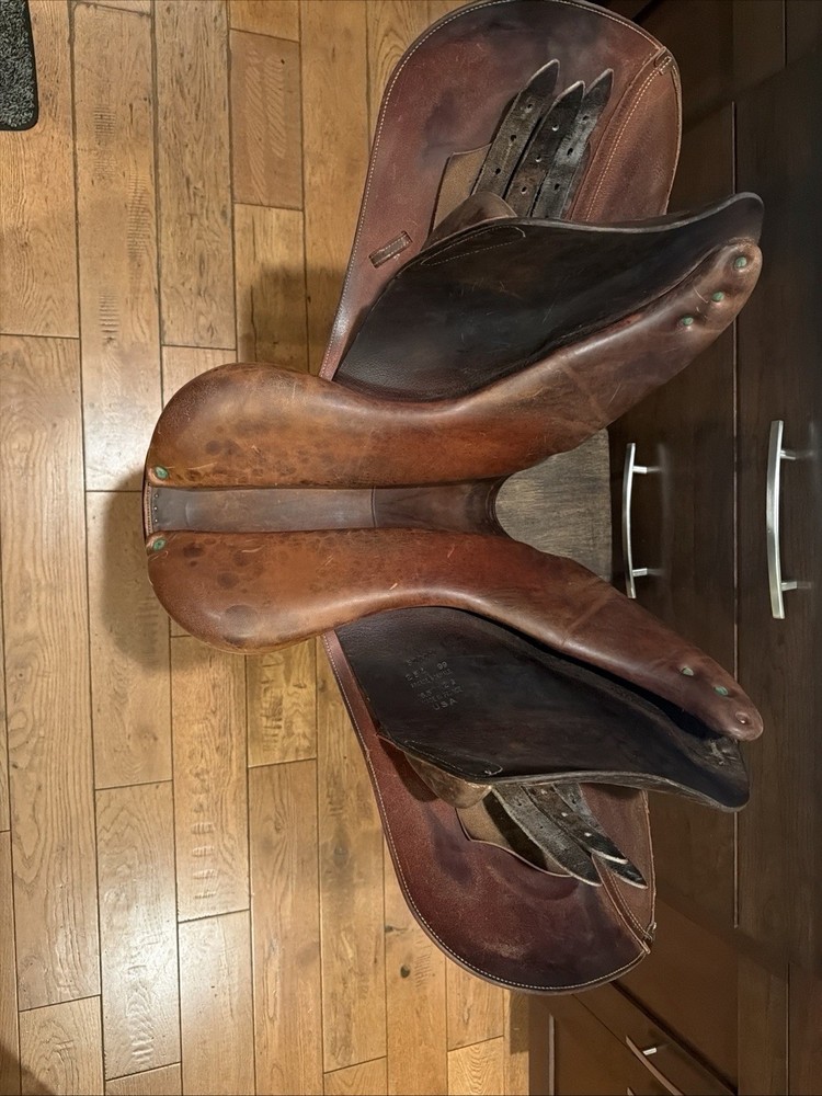 Devoucoux Biarritz Arcade Normale 16.5” 2A