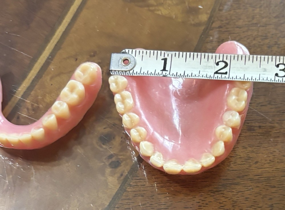 Vintage False Teeth Dentures Upper & Lower Oddities Weird