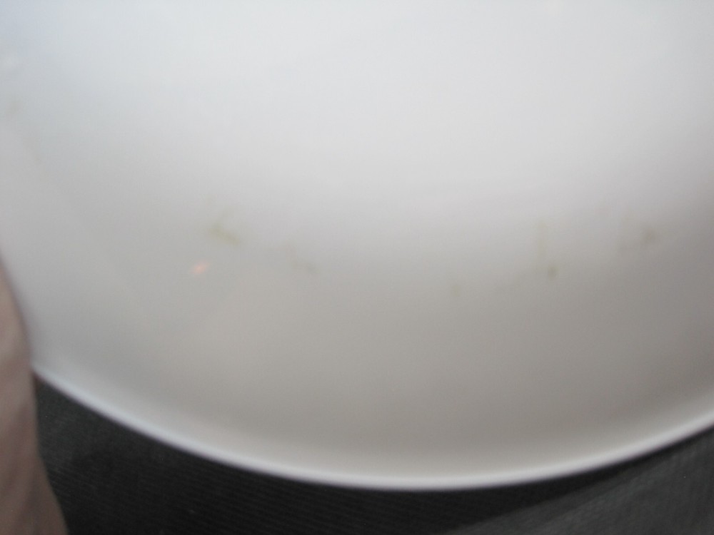 2 Corelle Spring Blossom Green Crazy Daisy Dinner Plates