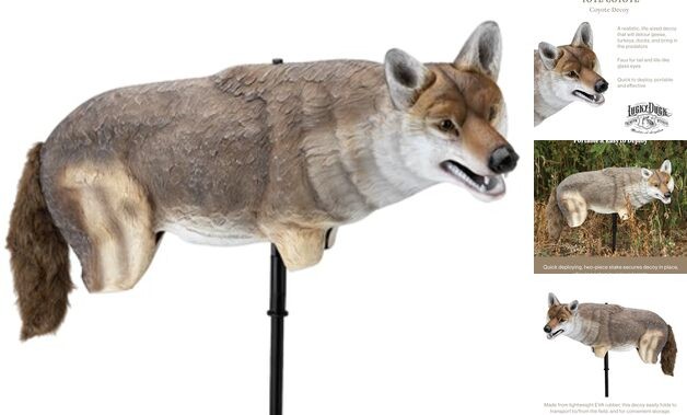Yote Coyote Decoy