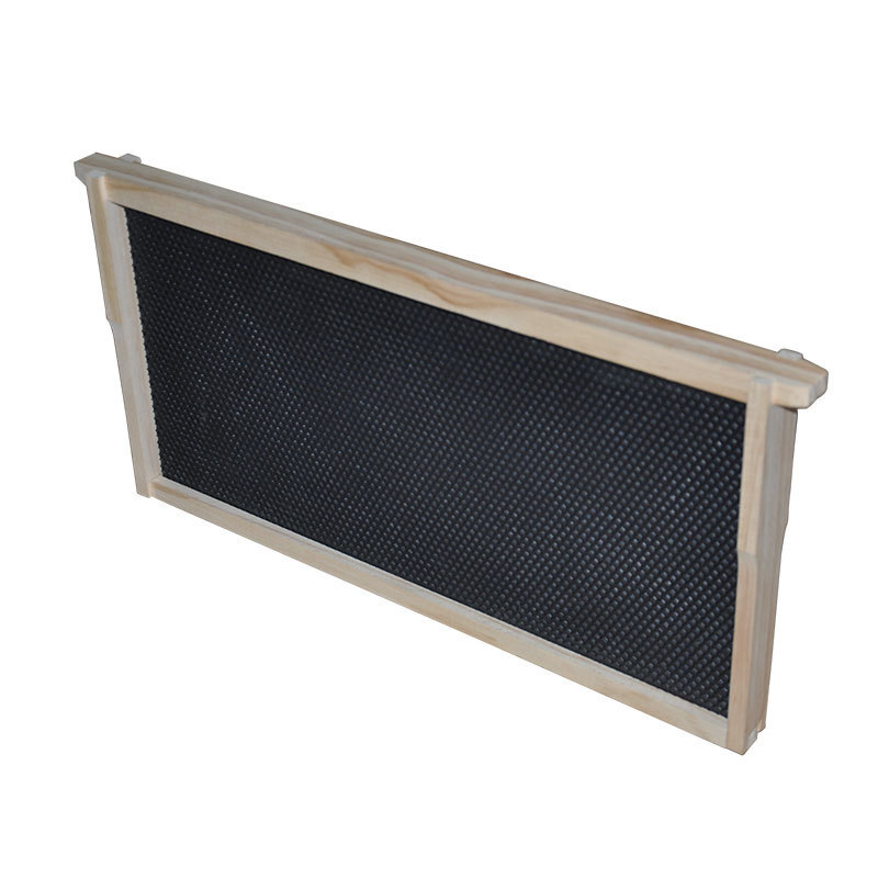 1 Layer Beehive Super Box Wax Langstroth Deep House + 10 Frames Beekeeping