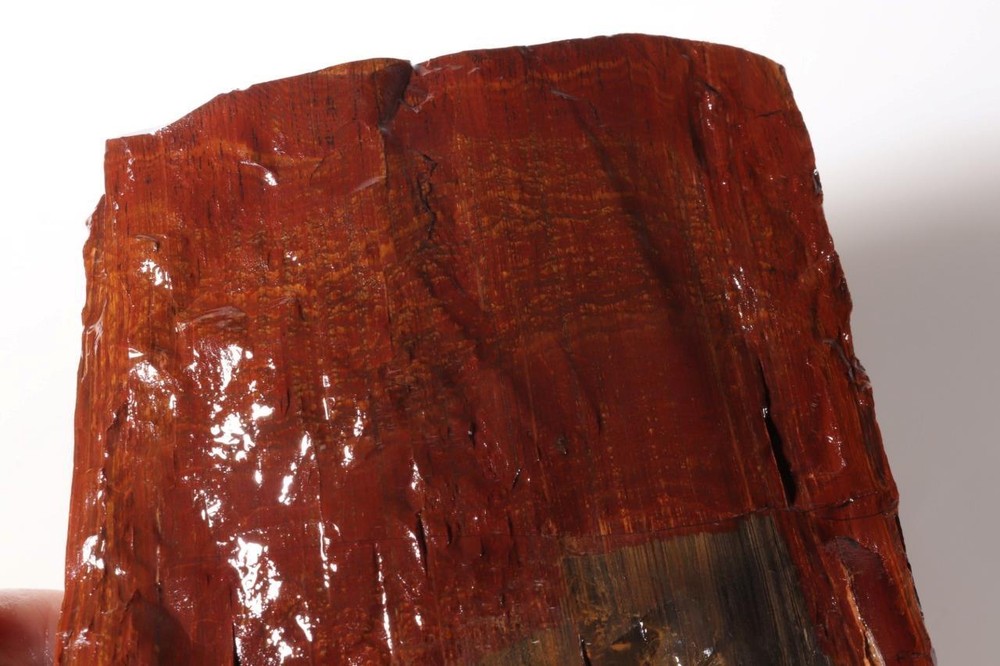 Biggs Scenic type Jasper lapidary 5 lb 10 oz end cut rough