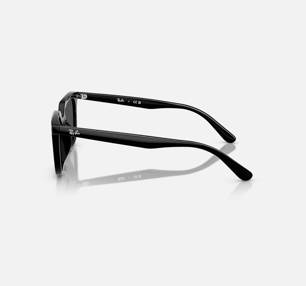 Ray-Ban RB4439D Polished Black Frame Grey lens