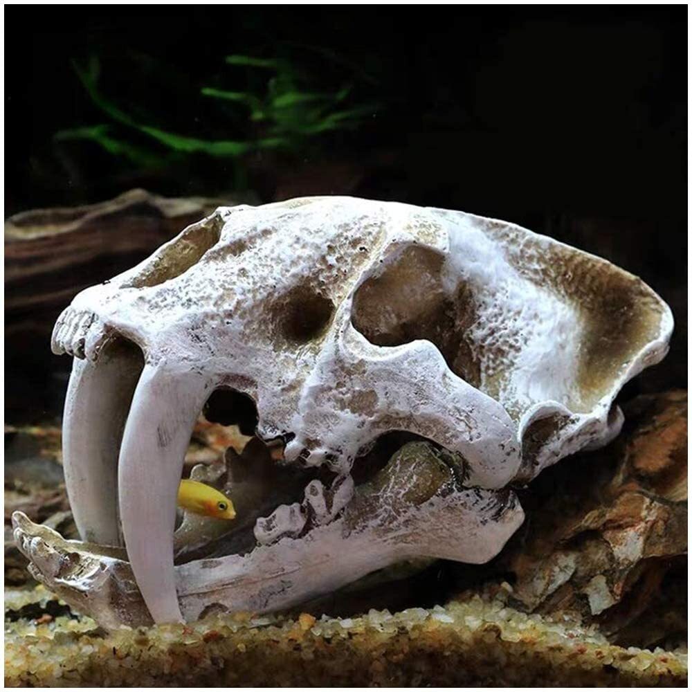 Dinosaur Skull Model Resin Dinosaur Replica ImitationBone Skeleton